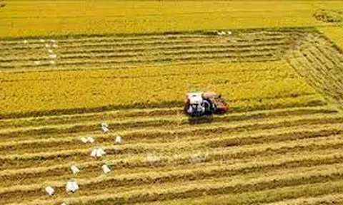 9 nhiệm vụ, giải pháp chủ yếu thực hiện Nghị quyết số 19-NQ/TW về nông nghiệp, nông dân, nông thôn