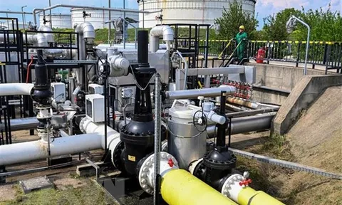 Nga bơm dầu từ Kazakhstan tới Đức thông qua đường ống Druzhba