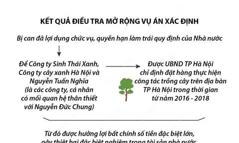 Ông Nguyễn Đức Chung bị khởi tố liên quan vụ trồng cây xanh tại Hà Nội