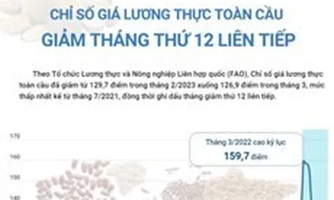 Chỉ số giá lương thực toàn cầu giảm tháng thứ 12 liên tiếp