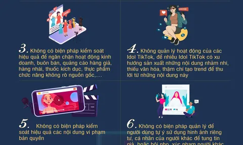 6 vi phạm của TikTok tại Việt Nam