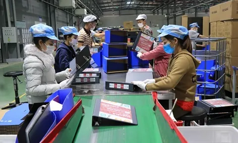 Chính phủ sẽ trực tiếp lắng nghe ý kiến của nhà đầu tư nước ngoài