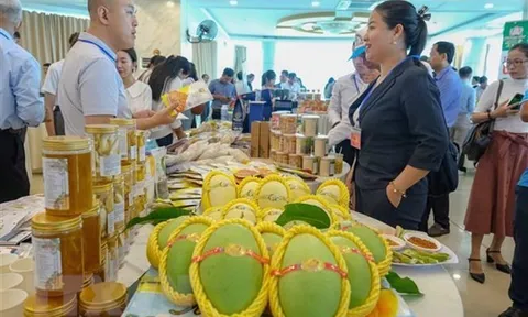 Thúc đẩy kinh tế giữa các địa phương và Trùng Khánh của Trung Quốc