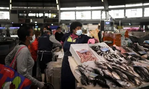 EU: Cần tái cân bằng quan hệ thương mại-đầu tư với Trung Quốc