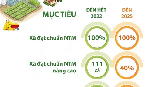 Hà Nội phấn đấu năm 2025, hoàn thành nhiệm vụ xây dựng nông thôn mới