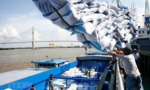 Đơn hàng khó khăn: Doanh nghiệp đẩy mạnh liên kết, sử dụng trong chuỗi