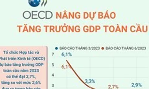 OECD nâng dự báo tăng trưởng GDP toàn cầu