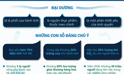 Những con số đáng chú ý về đại dương