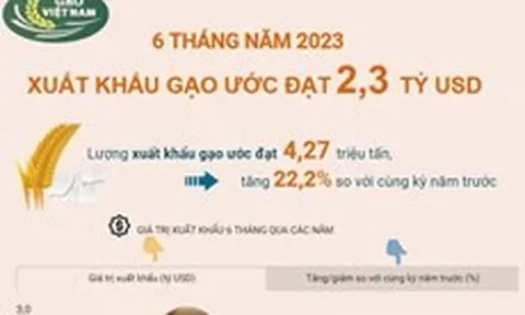Xuất khẩu gạo ước đạt 2,3 tỷ USD trong 6 tháng năm 2023