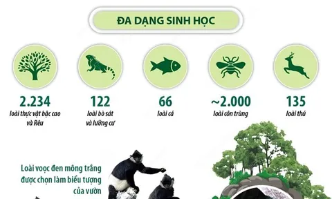 Vườn QG Cúc Phương 5 năm liên tiếp lọt top Công viên hàng đầu châu Á