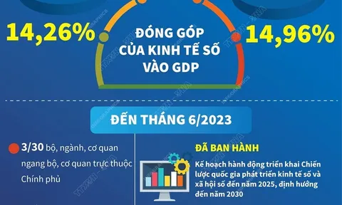Kinh tế Số đóng góp khoảng 15% vào GDP trong 6 tháng năm 2023