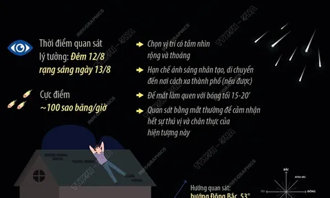 Mưa sao băng Perseids đẹp nhất trong năm 2023