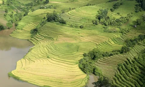 Về Bát Xát ngắm "mùa vàng" trên những thửa ruộng bậc thang