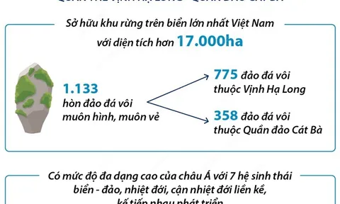 Quần thể Vịnh Hạ Long-Quần đảo Cát Bà là Di sản Thiên nhiên Thế giới