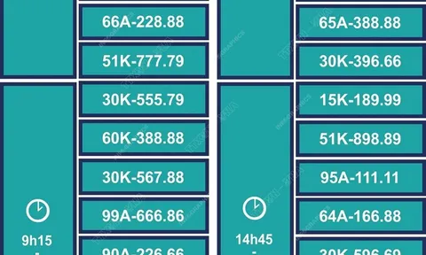 48 biển số ôtô đẹp được đấu giá trong ngày 25/9