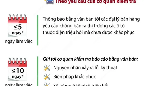 Các trường hợp ôtô thuộc diện phải triệu hồi từ 1/10