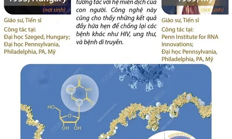 Giải Nobel Y sinh 2023 vinh danh hai nhà khoa học Hungary và Mỹ