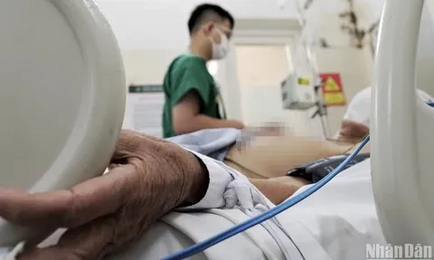 Nhận diện tình trạng sốc ở người mắc sốt xuất huyết