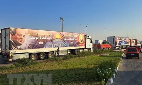 WHO kêu gọi đưa thêm nhiều chuyến hàng viện trợ nhân đạo vào Dải Gaza