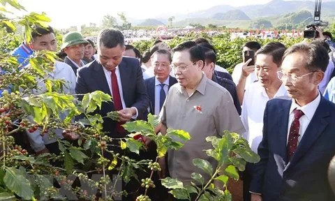 Chủ tịch Quốc hội Vương Đình Huệ thăm vùng trồng càphê ở Sơn La