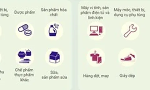 Quan hệ thương mại Việt Nam-Hà Lan trong những năm qua