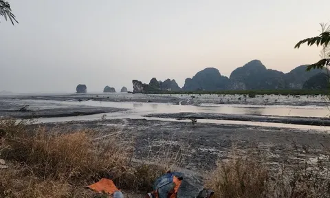 Quảng Ninh: Xử phạt Công ty Trách nhiệm hữu hạn Đỗ Gia Capital 125 triệu đồng