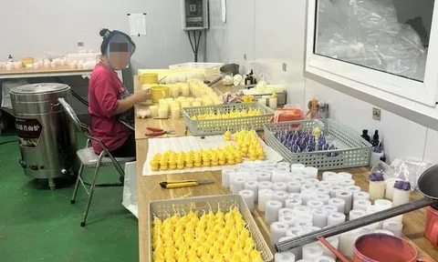 Xử phạt 85 triệu đồng doanh nghiệp tự ý chuyển dự án chăn nuôi bò sang sản xuất nến