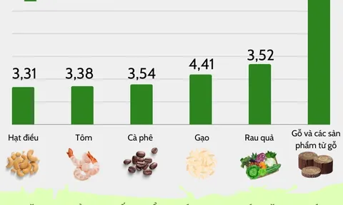 Xuất khẩu nông sản phục hồi mạnh, mang về cho đất nước gần 48 tỷ USD