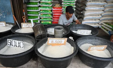 FAO: Chỉ số giá lương thực thế giới thấp nhất trong gần 3 năm