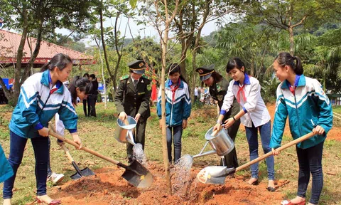 Chỉ thị của Thủ tướng Chính phủ về tổ chức "Tết trồng cây đời đời nhớ ơn Bác Hồ" và tăng cường công tác quản lý, bảo vệ, phát triển rừng