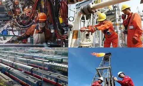 Sắp xếp lại doanh nghiệp nhà nước, doanh nghiệp có vốn nhà nước trực thuộc Bộ Y tế, UBND Thành phố Hồ Chí Minh và UBND tỉnh Hải Dương