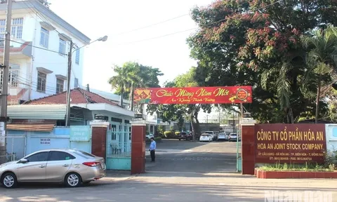 Xử phạt 600 triệu đồng đối với Công ty cổ phần Hóa An vì chiếm đất