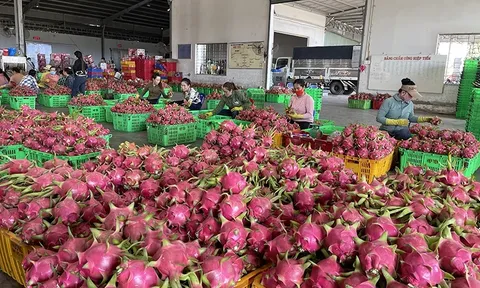 Mô hình canh tác thông minh, thích ứng biến đổi khí hậu
