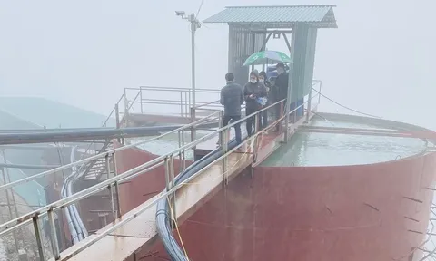 Yên Bái: Xử phạt gần 1,2 tỷ đồng do xả thải độc hại ra môi trường