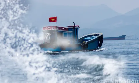 Những giá trị tiềm năng của vùng bờ biển Việt Nam