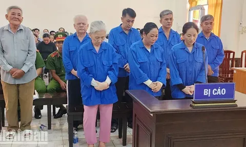 Kiên Giang: Làm giả giấy khám sức khỏe, bảo vệ và bác sĩ Trung tâm Y tế Gò Quao bị phạt tù