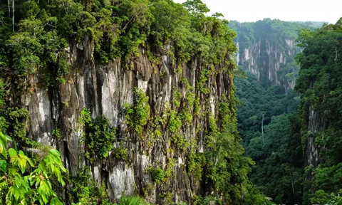 Tour đêm mới lạ tại Vườn quốc gia Cúc Phương