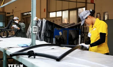 Thái Bình muốn thu hút đầu tư và hợp tác kinh doanh với các đối tác của Bỉ