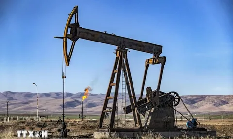 'Có khả năng OPEC+ gia hạn thỏa thuận cắt giảm sản lượng dầu mỏ'