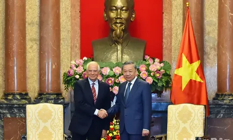 Chủ tịch nước Tô Lâm tiếp Phó Chủ tịch Ủy ban châu Âu Josep Borell Fontelles