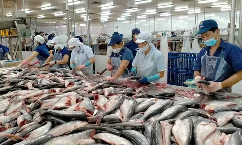 Việt Nam là quốc gia đứng thứ 3 thế giới về xuất khẩu thủy sản