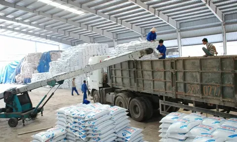 Chính phủ giao Bộ Công Thương tăng cường đối thoại để triển khai Cơ chế CBAM
