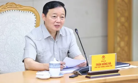 Phó Thủ tướng Trần Hồng Hà: Quy hoạch chi tiết nhóm cảng biển phải đồng bộ, thống nhất