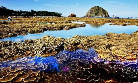 Phú Yên quyết định thành lập Công viên địa chất