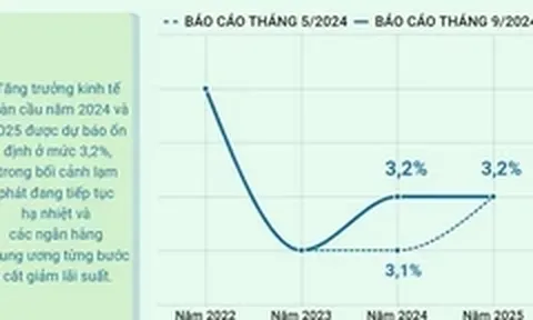 OECD nâng dự báo tăng trưởng kinh tế toàn cầu năm 2024 lên 3,2%