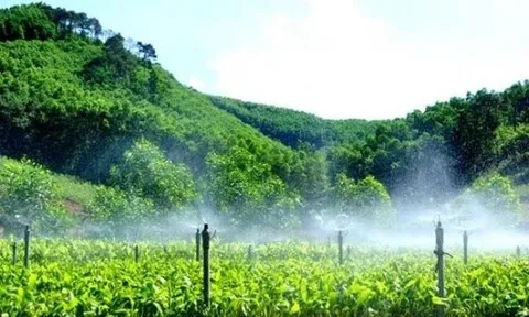 Thủ tướng kiện toàn Ban chỉ đạo Trung ương thực hiện Chương trình phát triển lâm nghiệp bền vững