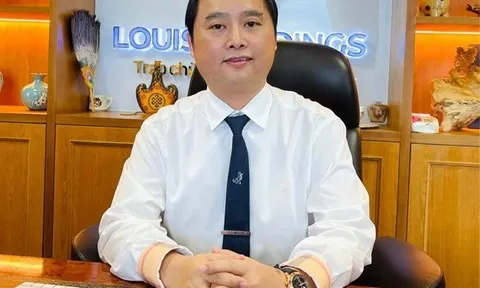 Đề nghị truy tố Giám đốc Louis Holding về tội thao túng chứng khoán