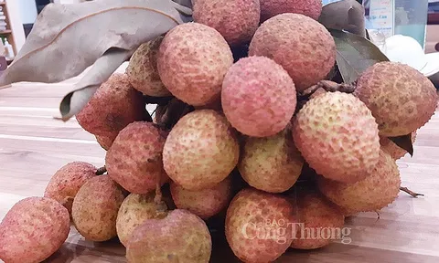 Giá vải lai đầu mùa dao động trong khoảng 50.000 - 60.000 đồng/kg
