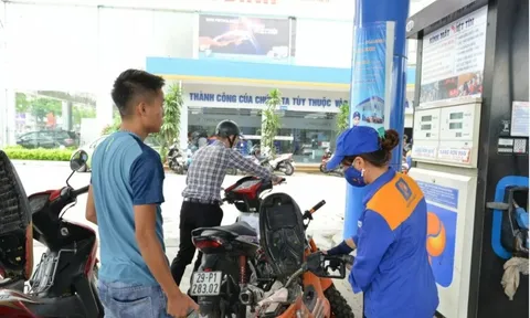 313 doanh nghiệp tham gia hệ thống cơ sở dữ liệu xăng dầu