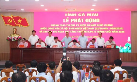 Cà Mau thi đua 180 ngày đạt tăng trưởng 8,8% 6 tháng cuối năm 2025